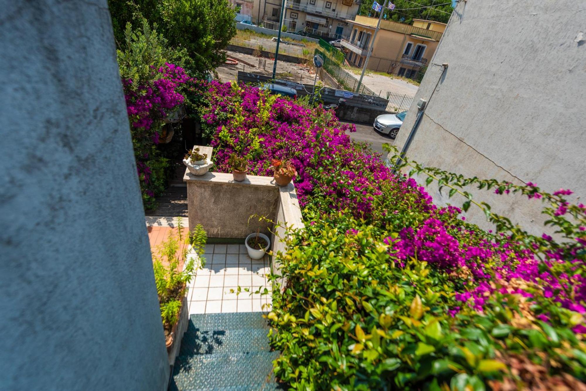 شقة Terra Mia In Terrazza بومبيي المظهر الخارجي الصورة